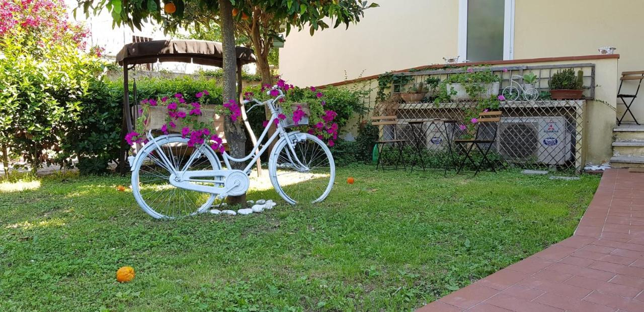 Villa Noemi Bed&Breakfast Πίζα Εξωτερικό φωτογραφία